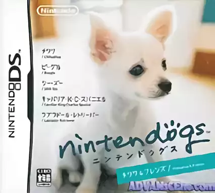 jeu Nintendogs - Chihuahua & Friends (v01)